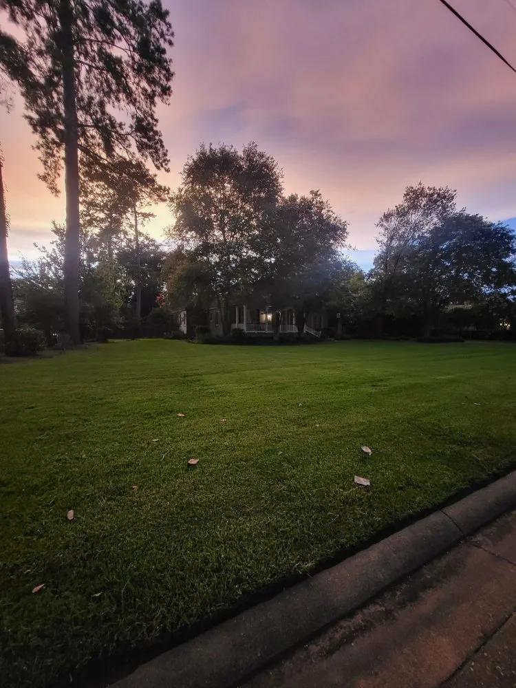 Local lawn mowing service in Pineville, LA by Murphy's Lawn Care