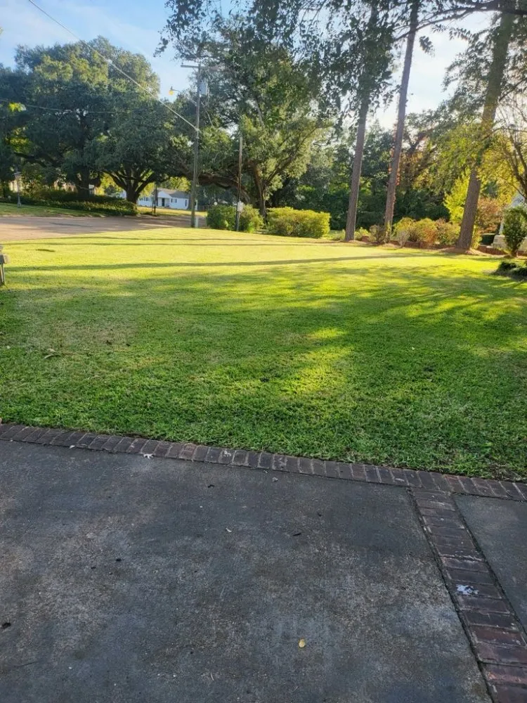 Custom landscaping services for outdoor upgrades in Pineville, LA by Murphy's Lawn Care