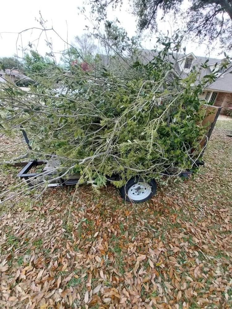 Local lawn mowing service in Pineville, LA by Murphy's Lawn Care