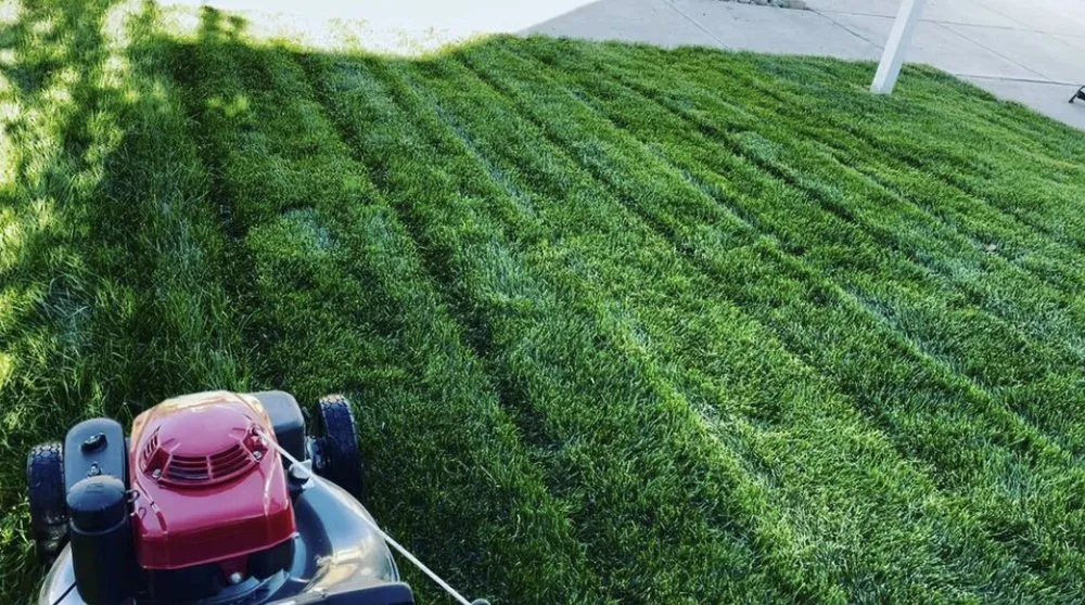 Trusted yard cleanup service experts serving Colorado Springs, CO - Murphy’s Lawn Maintenance