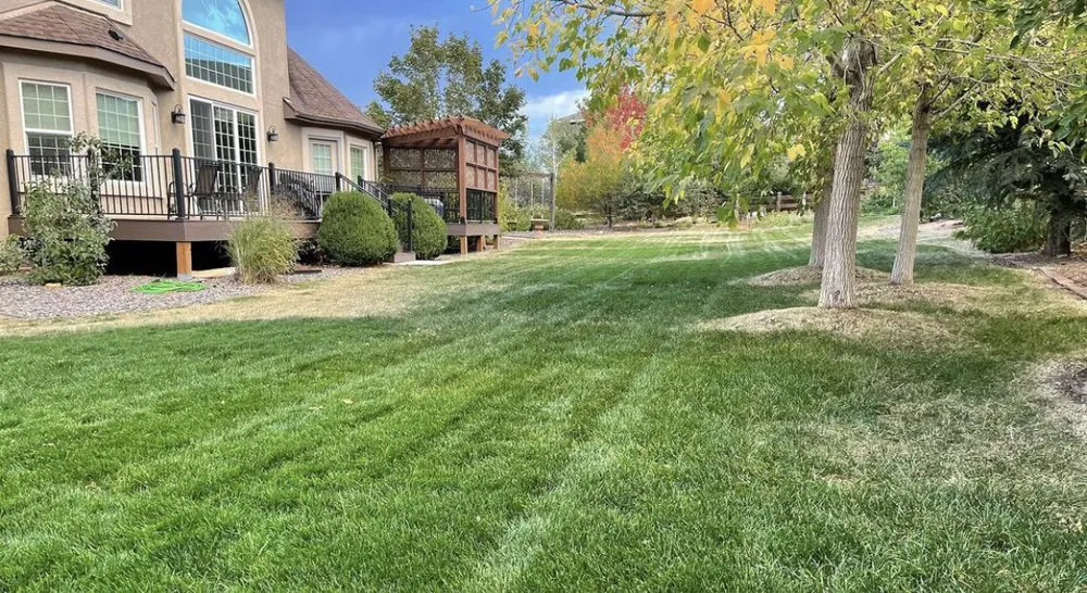 Expert lawn mowing service in Colorado Springs, CO - Murphy’s Lawn Maintenance