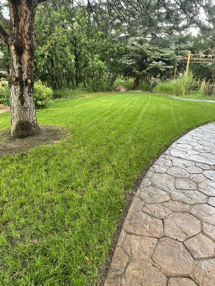 Top-rated outdoor landscaping in Colorado Springs, CO by Murphy’s Lawn Maintenance