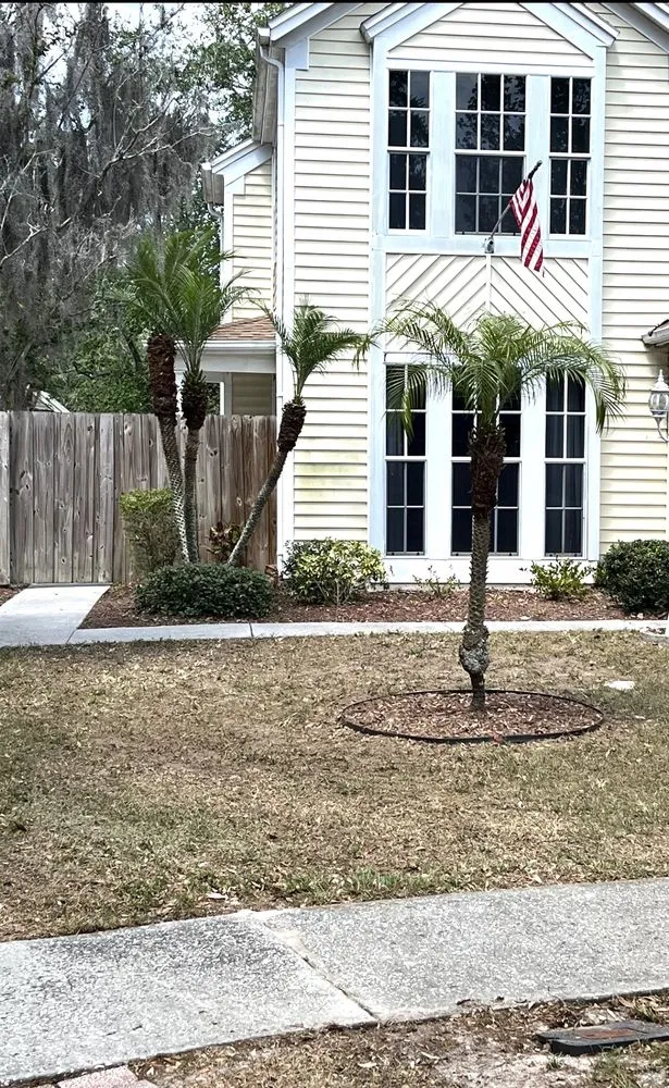 Top-rated residential landscaping in Tampa, FL - Murphys Lawn Service