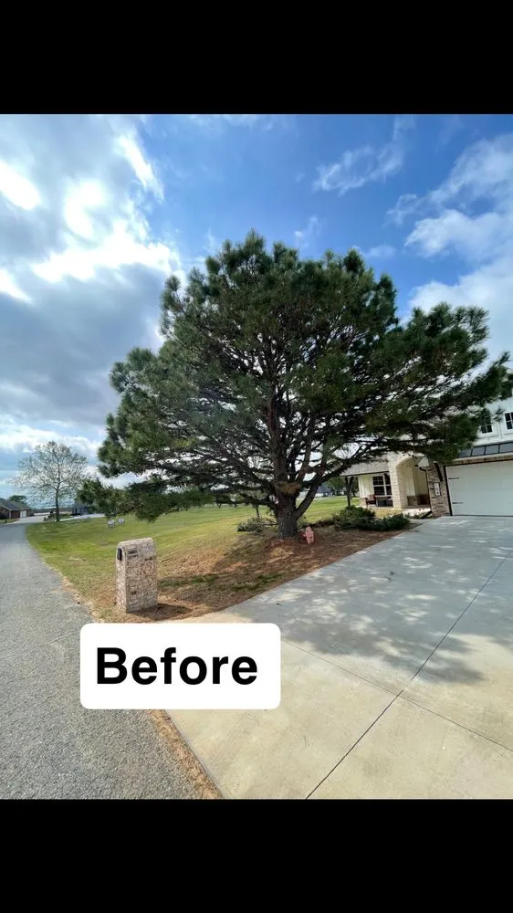 Expert yard cleanup service for beautiful yards across Spavinaw, OK - Murphys Lawn Services