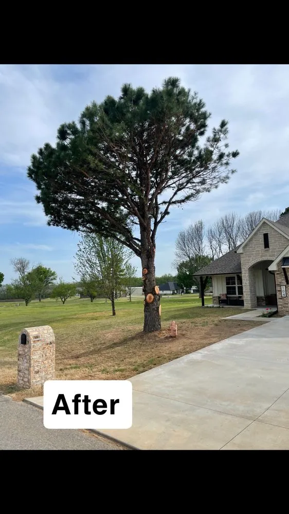 Reliable yard maintenance experts serving Spavinaw, OK - Murphys Lawn Services