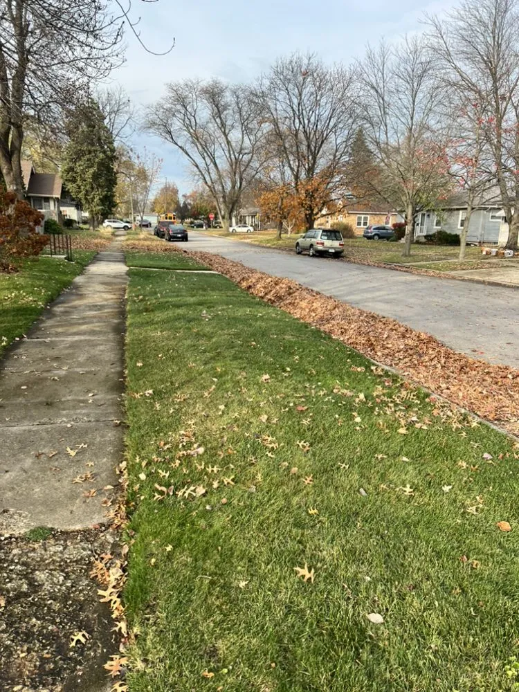 Expert yard cleanup service for beautiful yards across Hobart, IN - Murphys Mowing And More