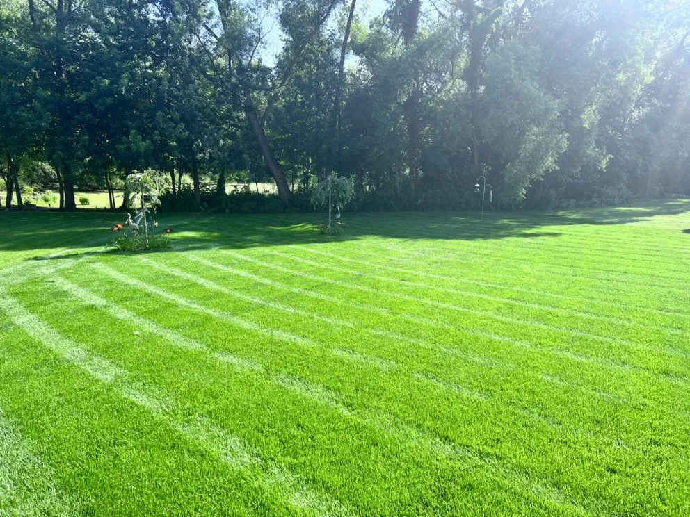 Professional yard cleanup service experts serving Hobart, IN - Murphys Mowing And More