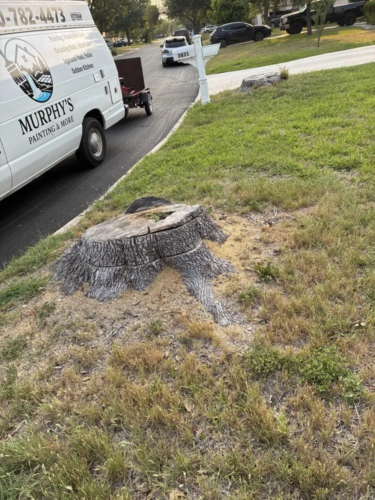 Professional outdoor landscaping for year-round maintenance across San Antonio, TX - Murphy’s Painting & More