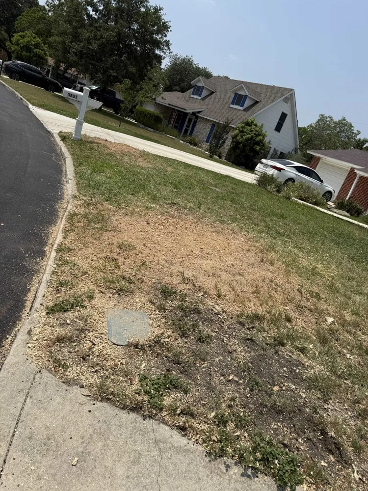 Custom landscape design in San Antonio, TX by Murphy’s Painting & More