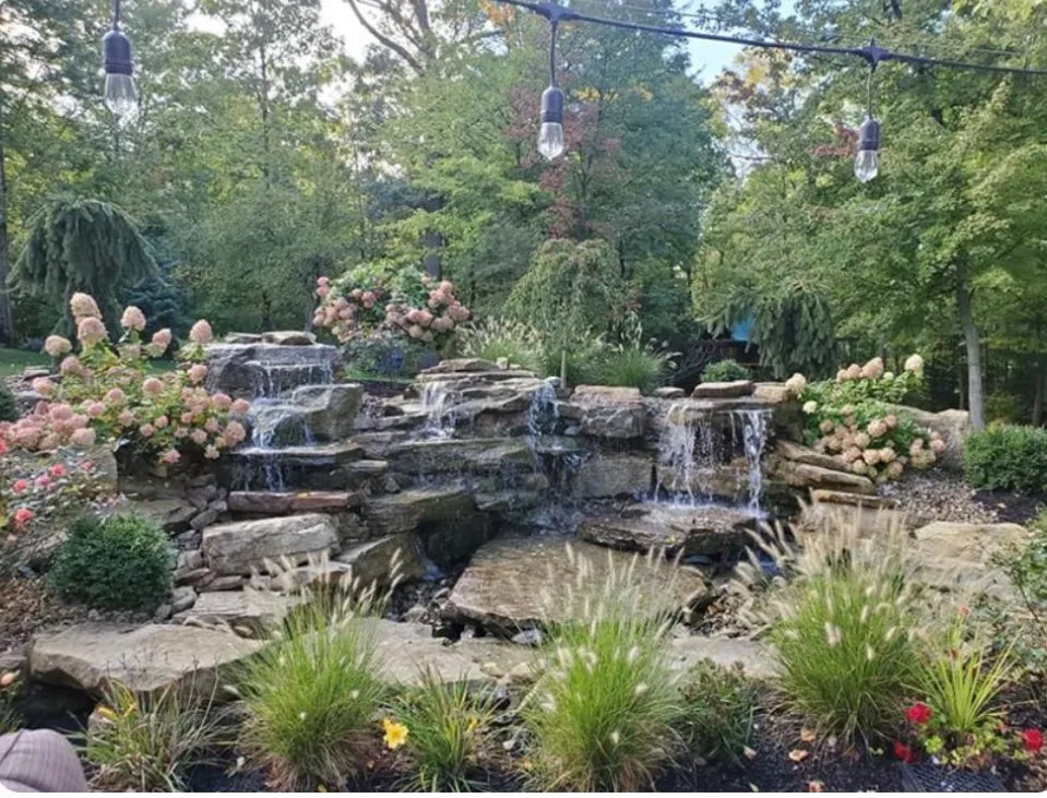 Reliable yard cleanup service experts serving San Antonio, TX - Murphy’s Painting & More