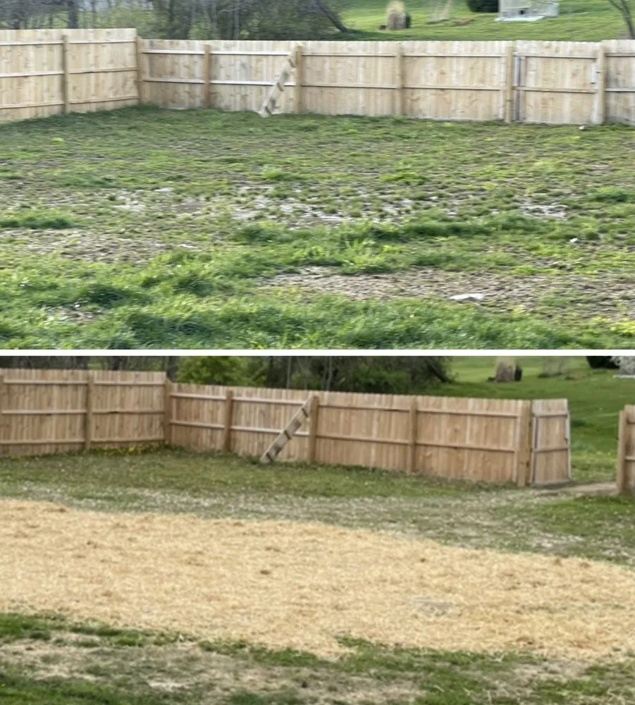 Top-rated lawn care service with custom design across Newark, OH - Murphy’s Property Services