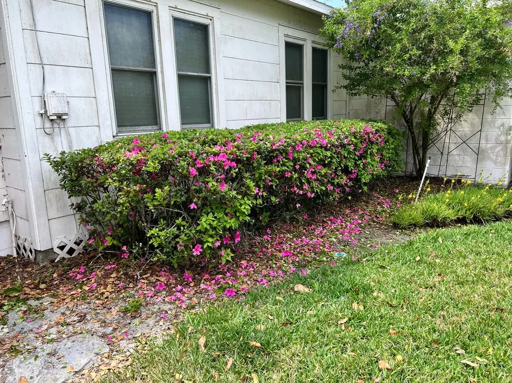 Professional yard maintenance in Sebring, FL by Murphy's Ranch
