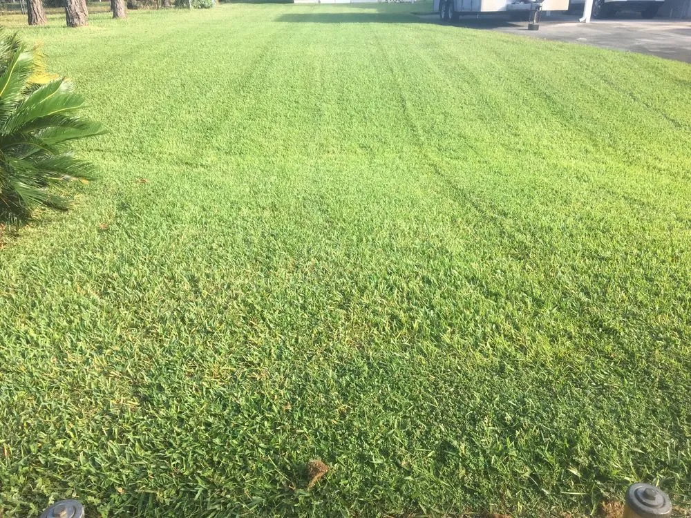 Trusted landscaping services experts serving Sebring, FL - Murphy's Ranch