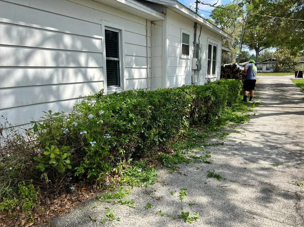 Affordable residential landscaping for year-round maintenance across Sebring, FL - Murphy's Ranch