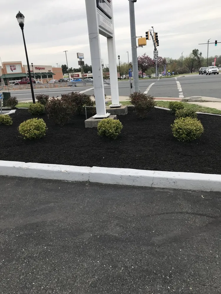 Local outdoor landscaping in Edgewood, MD by Murphy's Services