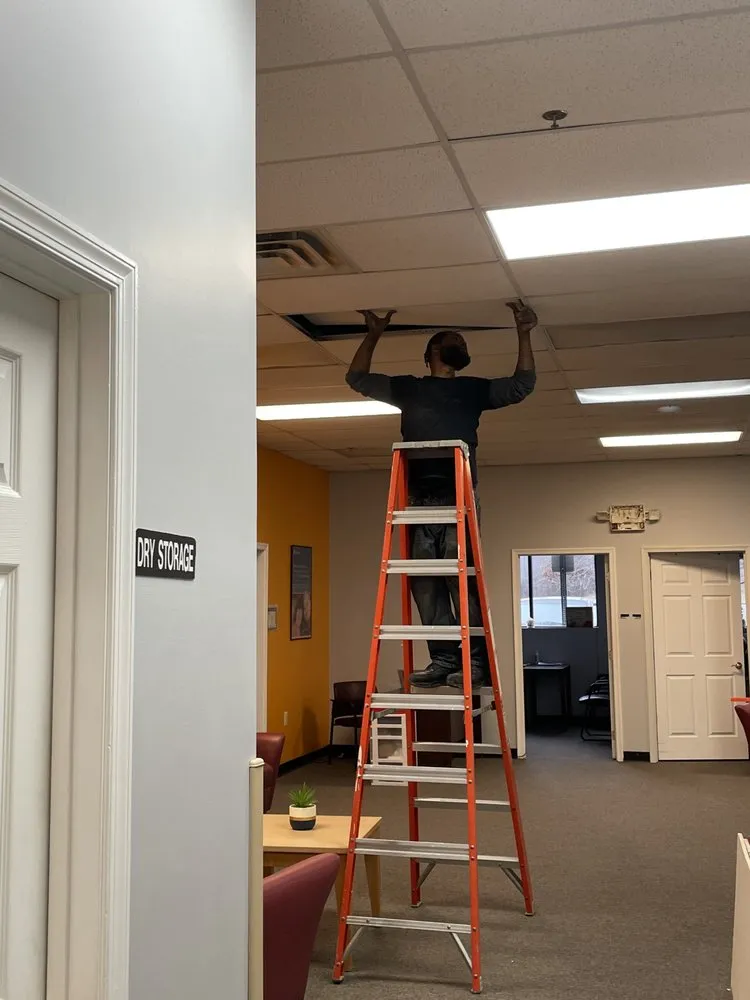 Professional outdoor landscaping for beautiful yards in Edgewood, MD by Murphy's Services