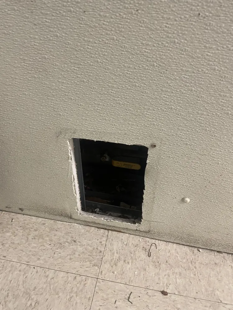 Reliable yard maintenance in Edgewood, MD by Murphy's Services