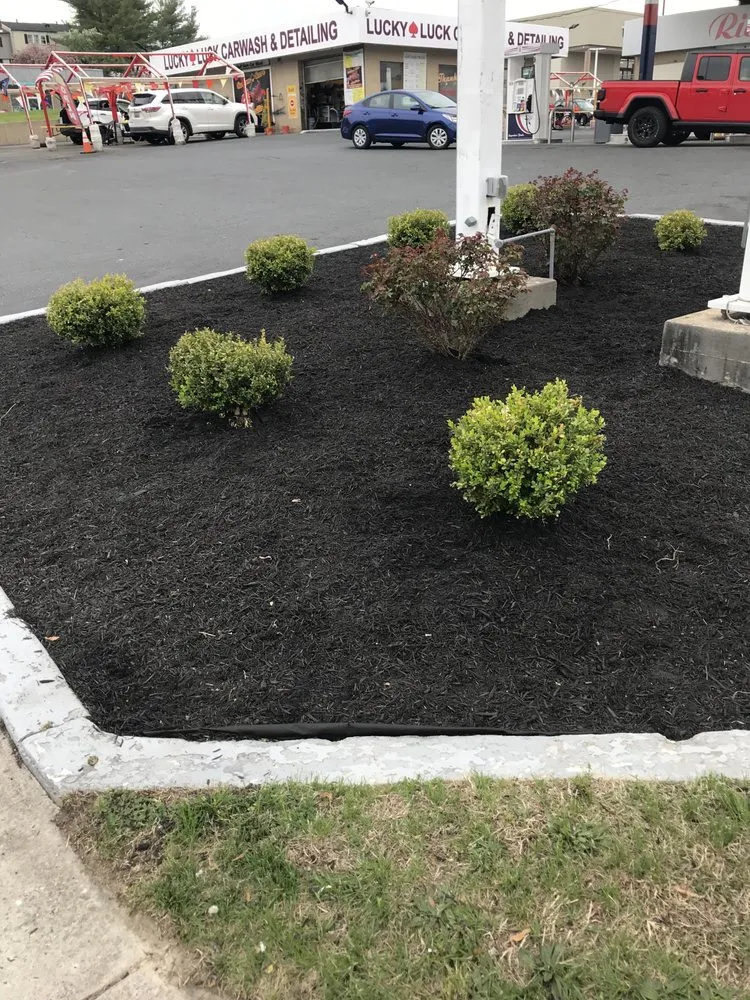 Top-rated residential landscaping in Edgewood, MD by Murphy's Services