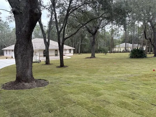 Murphy's Sod & Landscaping Logo