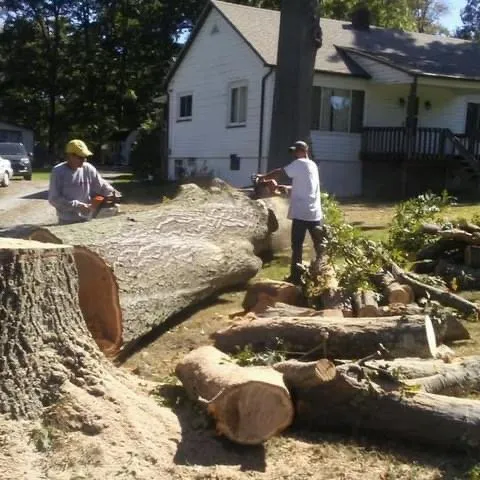 Affordable outdoor landscaping experts serving Greensburg, PA - Murphy’s Tree Service