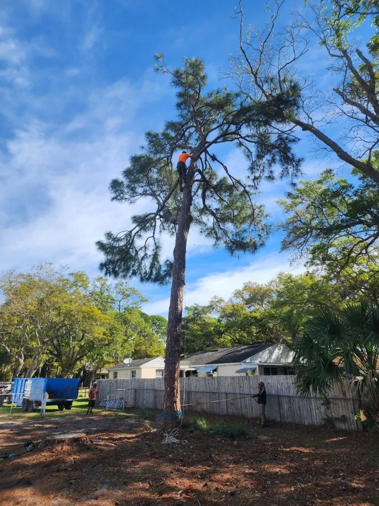 Custom outdoor landscaping for outdoor upgrades across Seminole, FL - Murphy's Tree Service