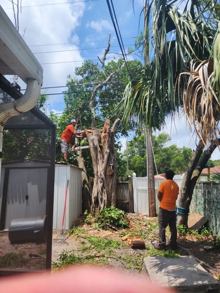 Local residential landscaping in Seminole, FL - Murphy's Tree Service