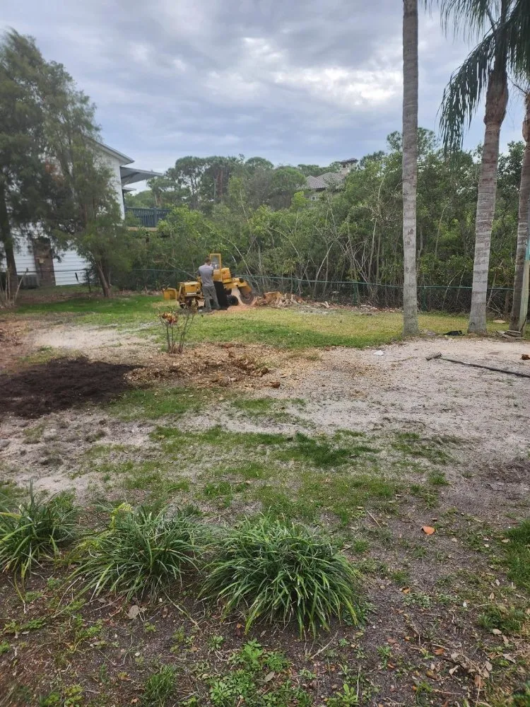 Affordable residential landscaping in Seminole, FL by Murphy's Tree Service