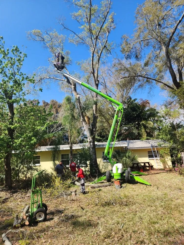 Local landscape installation in Seminole, FL - Murphy's Tree Service
