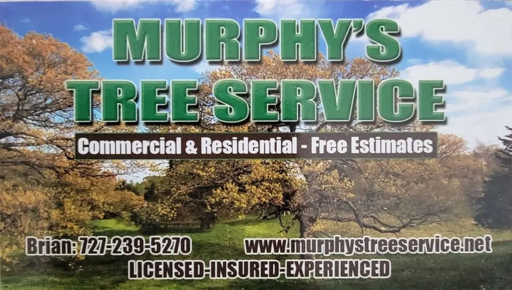 Expert yard maintenance near you in Seminole, FL by Murphy's Tree Service