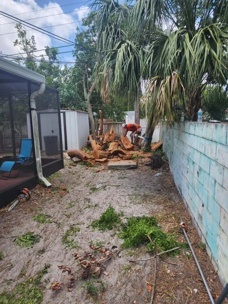 Local landscape design experts serving Seminole, FL - Murphy's Tree Service