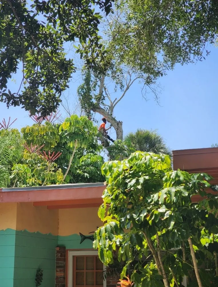 Reliable garden landscaping in Seminole, FL - Murphy's Tree Service