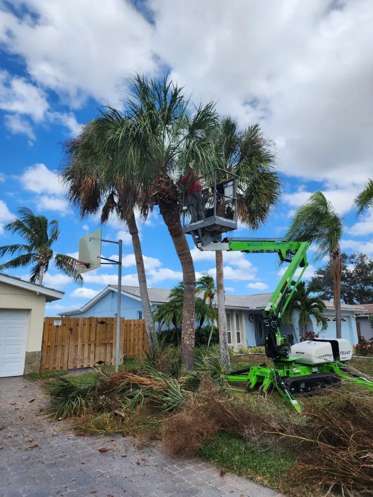 Reliable lawn care service in Seminole, FL by Murphy's Tree Service