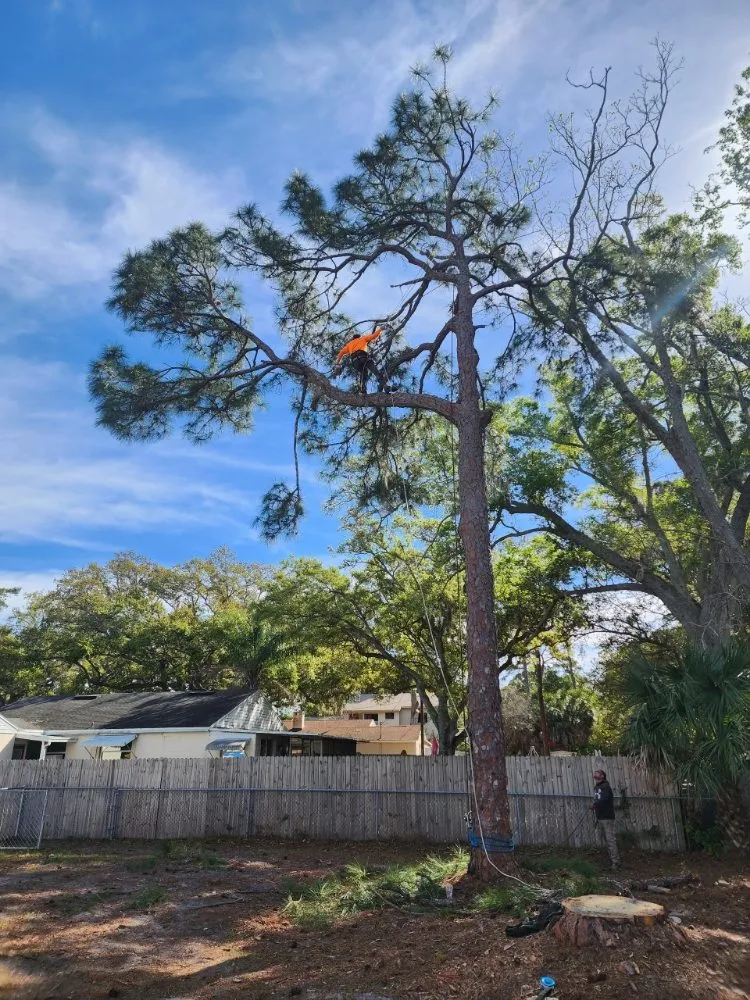 Local garden landscaping in Seminole, FL - Murphy's Tree Service