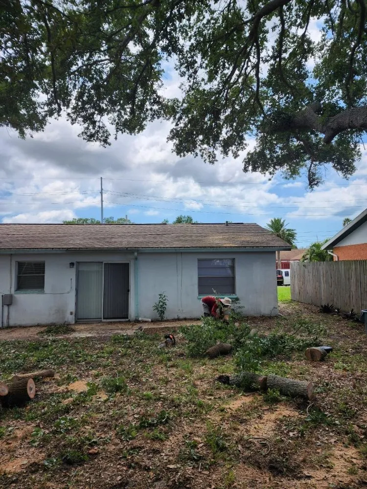 Top-rated lawn care service experts serving Seminole, FL - Murphy's Tree Service