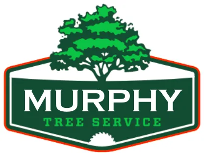 Reliable outdoor landscaping with custom design in San Francisco, CA by Murphy's Tree Services
