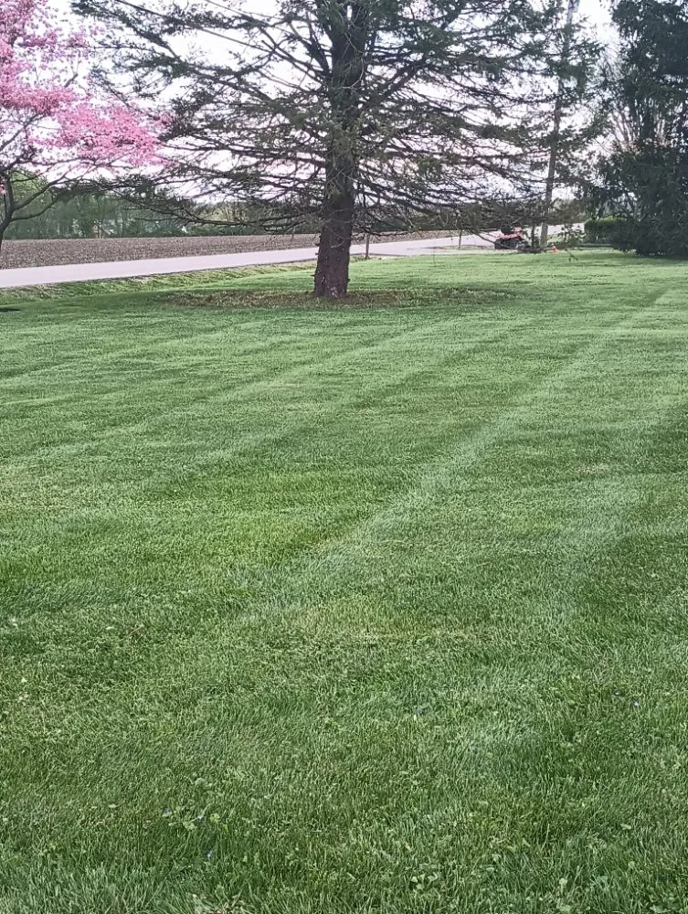 Expert yard cleanup service in Morrow, OH - Murray And Sons Outdoor Services