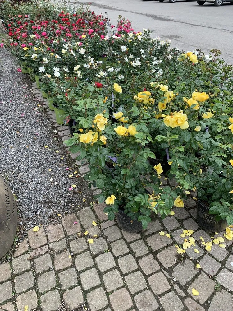 Affordable landscaping services in Orchard Park, NY by Murray Bros Nurseries & Garden Centre