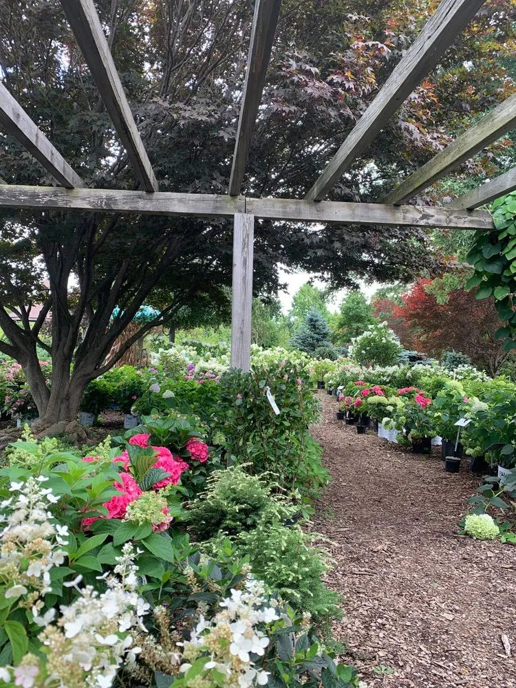 Reliable garden landscaping experts serving Orchard Park, NY - Murray Bros Nurseries & Garden Centre