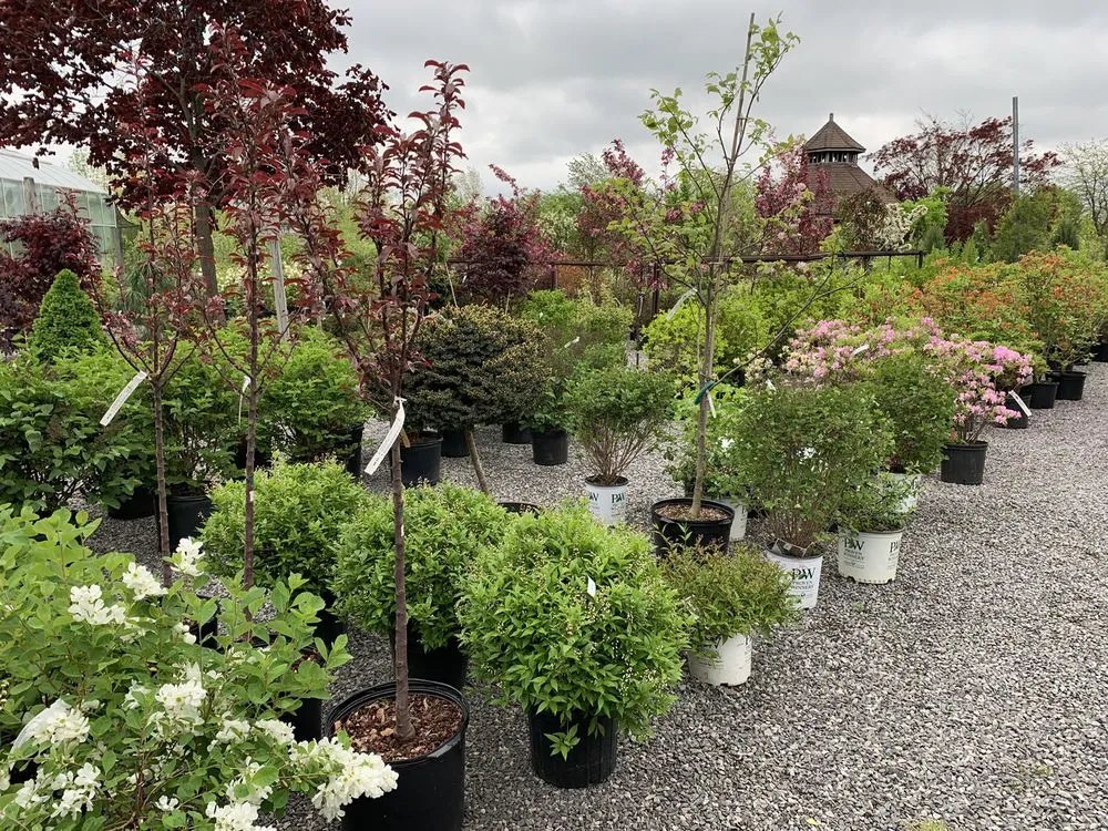 Local garden landscaping in Orchard Park, NY - Murray Bros Nurseries & Garden Centre