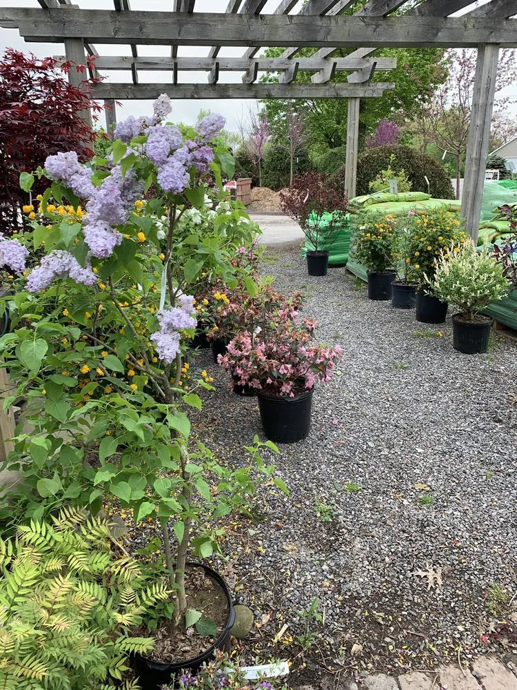 Expert residential landscaping in Orchard Park, NY by Murray Bros Nurseries & Garden Centre