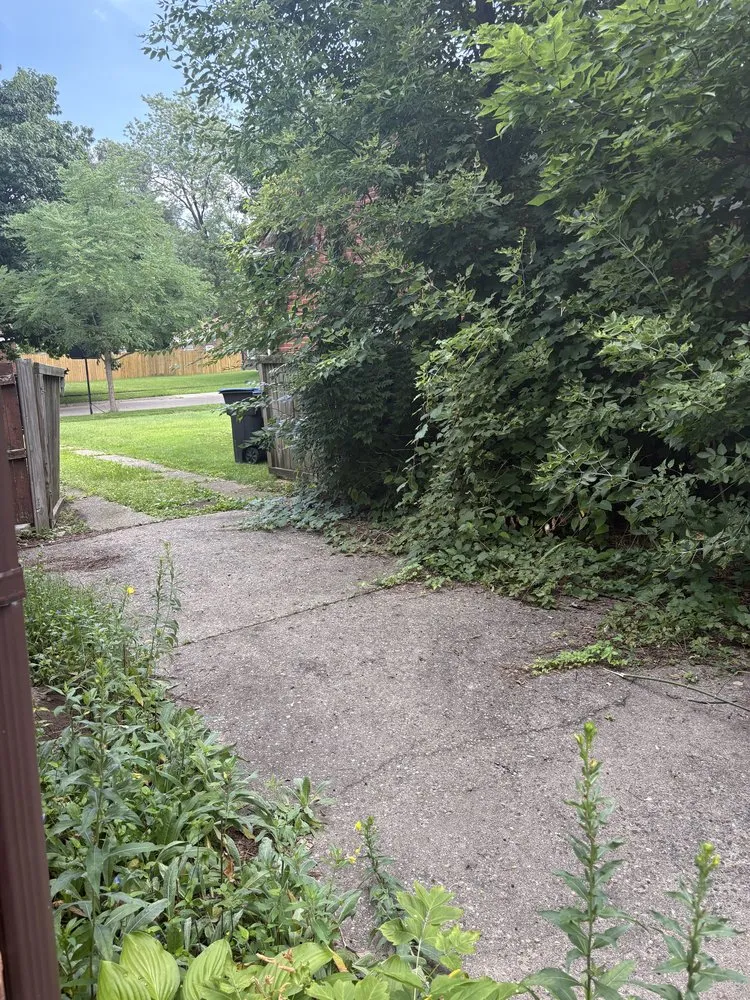 Local landscaping services in Detroit, MI by Murray Family Landscaping