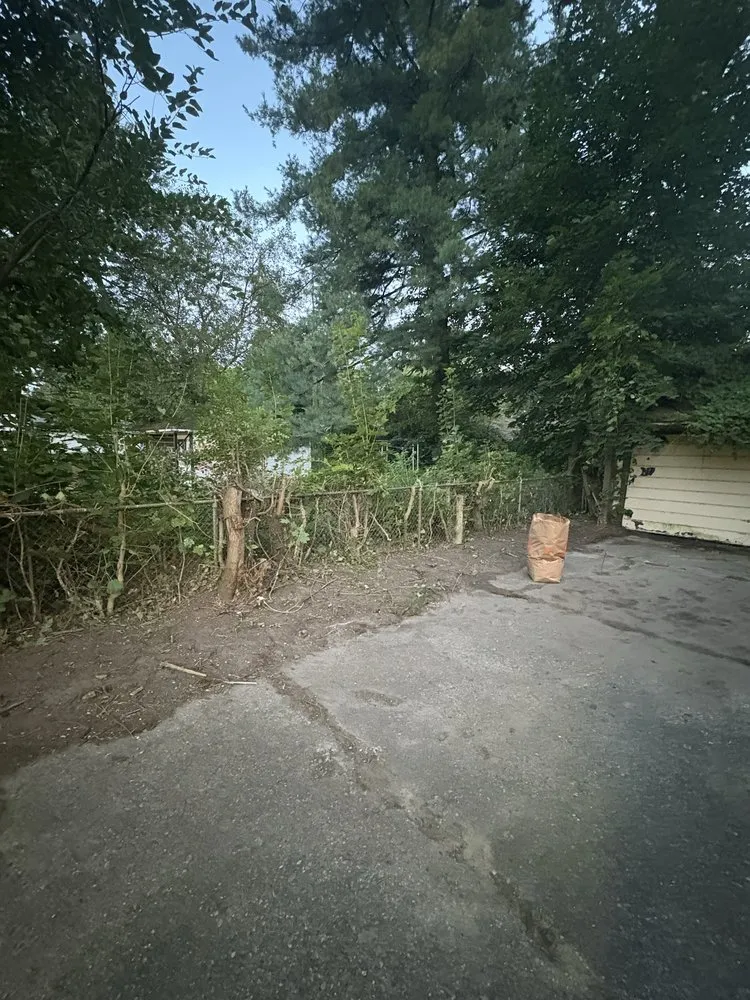 Reliable yard maintenance in Detroit, MI by Murray Family Landscaping