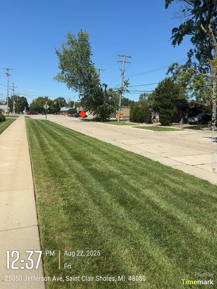 Professional lawn mowing service in Detroit, MI - Murray Family Landscaping