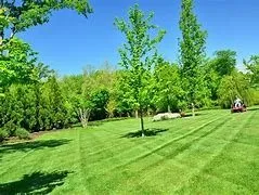 Affordable garden landscaping with custom design in Aurora, MO by Murray Lawn Services