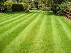 Reliable yard cleanup service for residential properties in Aurora, MO by Murray Lawn Services