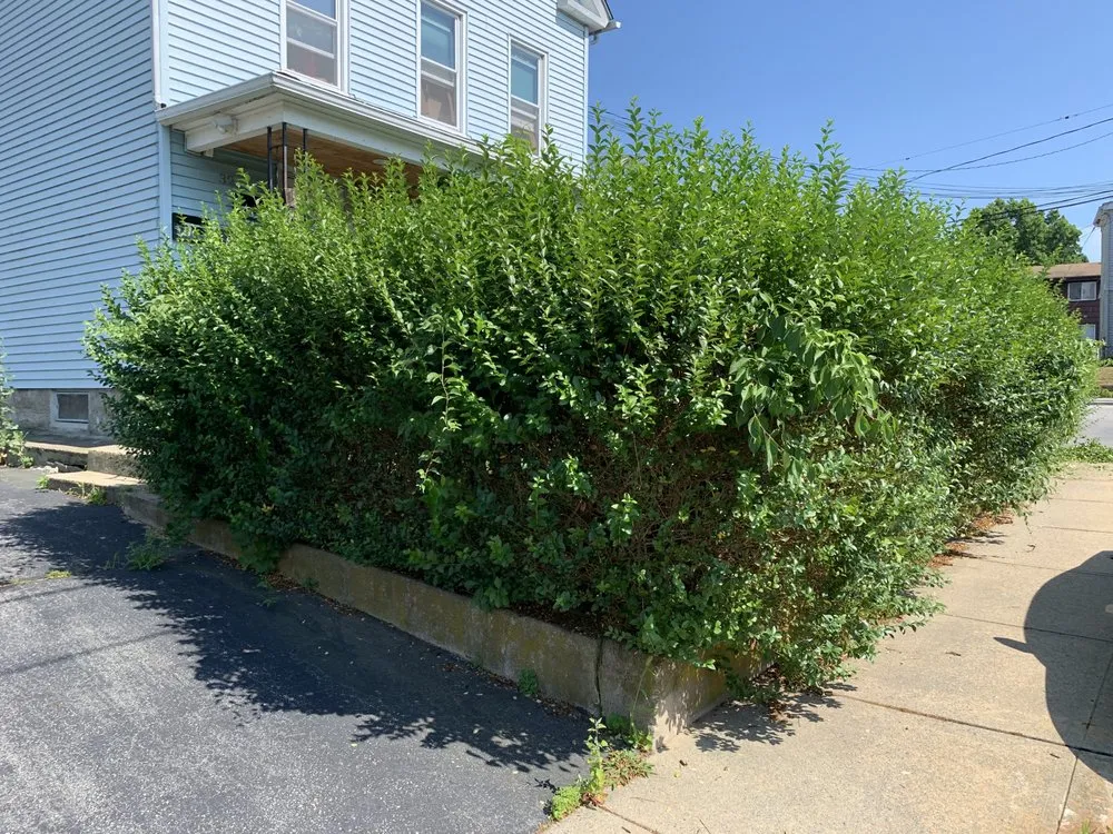 Professional yard maintenance for homes in Ashaway, RI by Murray Mowing And More