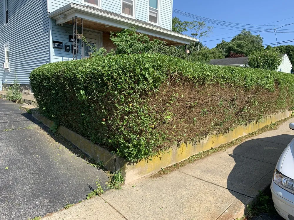 Custom outdoor landscaping for homes across Ashaway, RI - Murray Mowing And More
