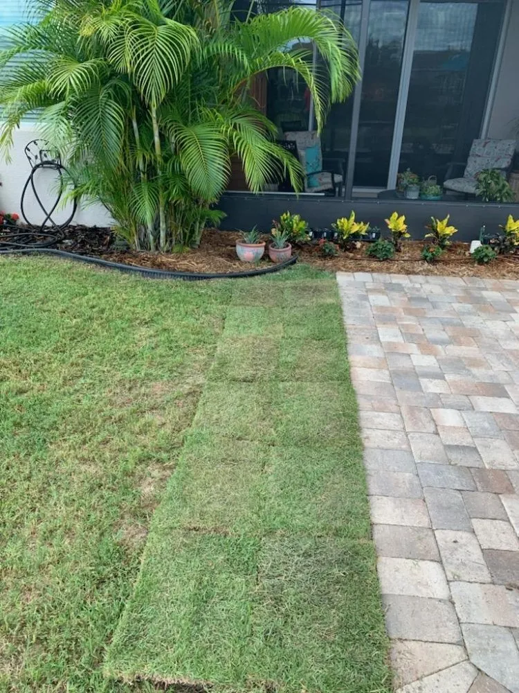 Custom landscape installation in Groveland, FL by Murray Outdoor