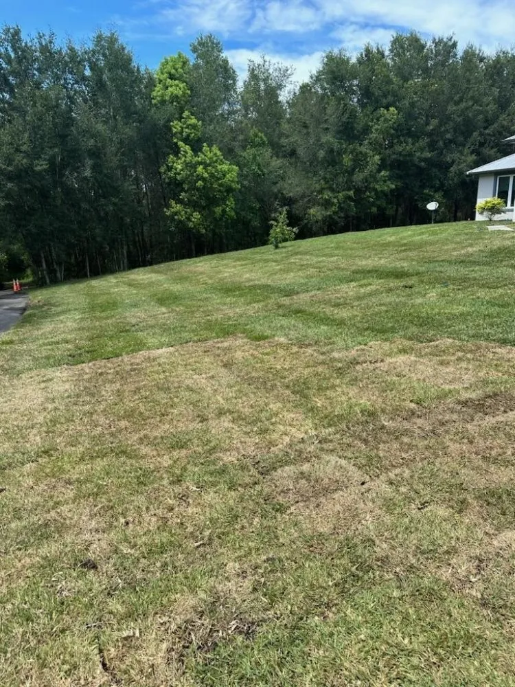 Professional landscaping services near you across Groveland, FL - Murray Outdoor