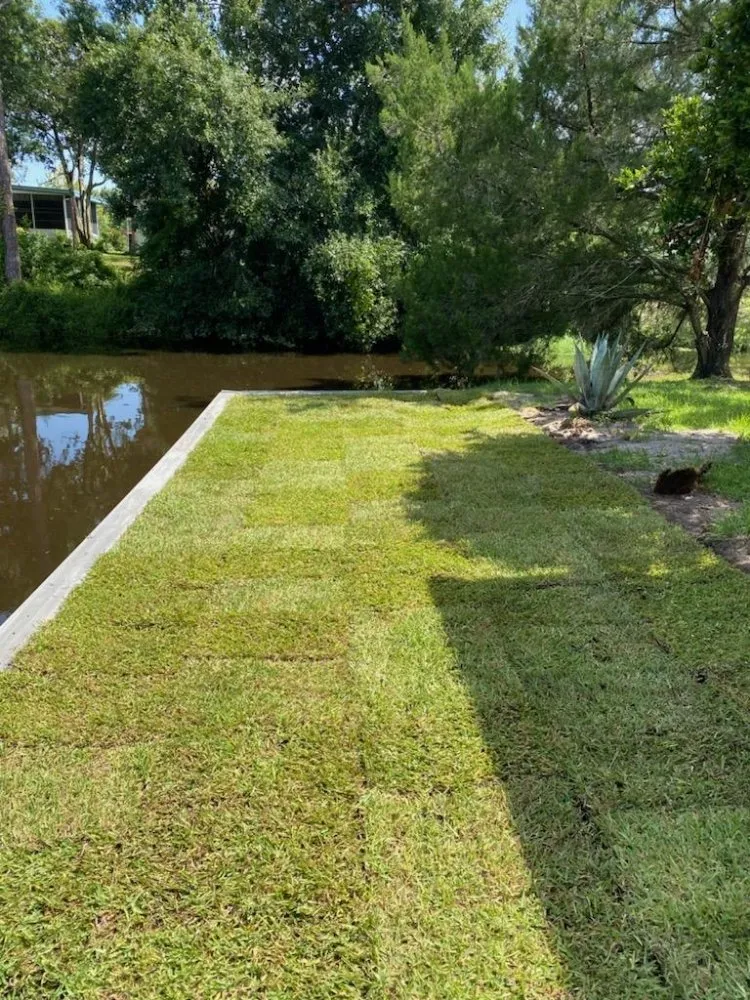 Local yard cleanup service experts serving Groveland, FL - Murray Outdoor